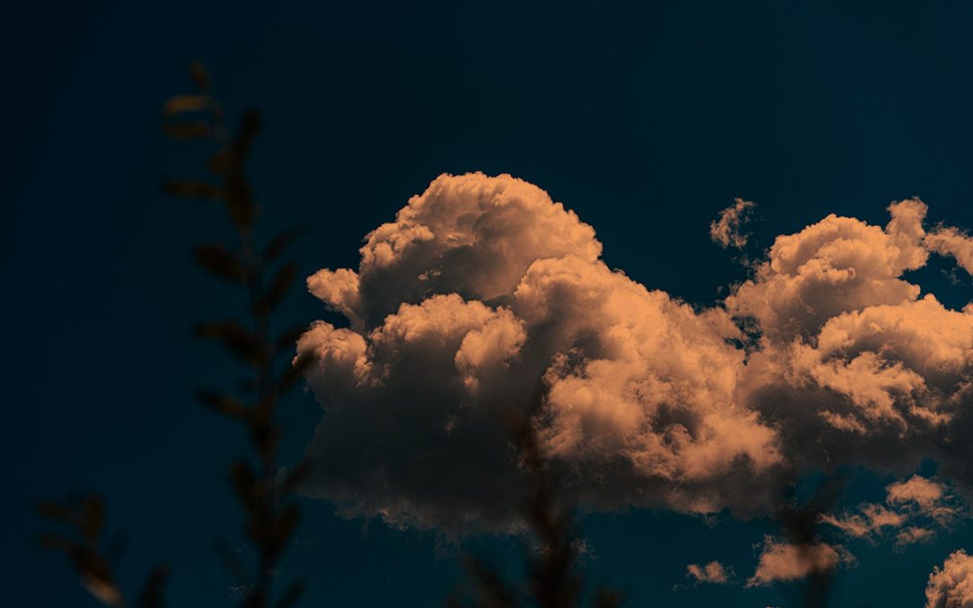 Experimentelle Fotografie: Zwischen Zufall und Gefühl
